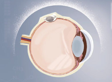 金狮贵宾会·宾至如归-尊贵显赫