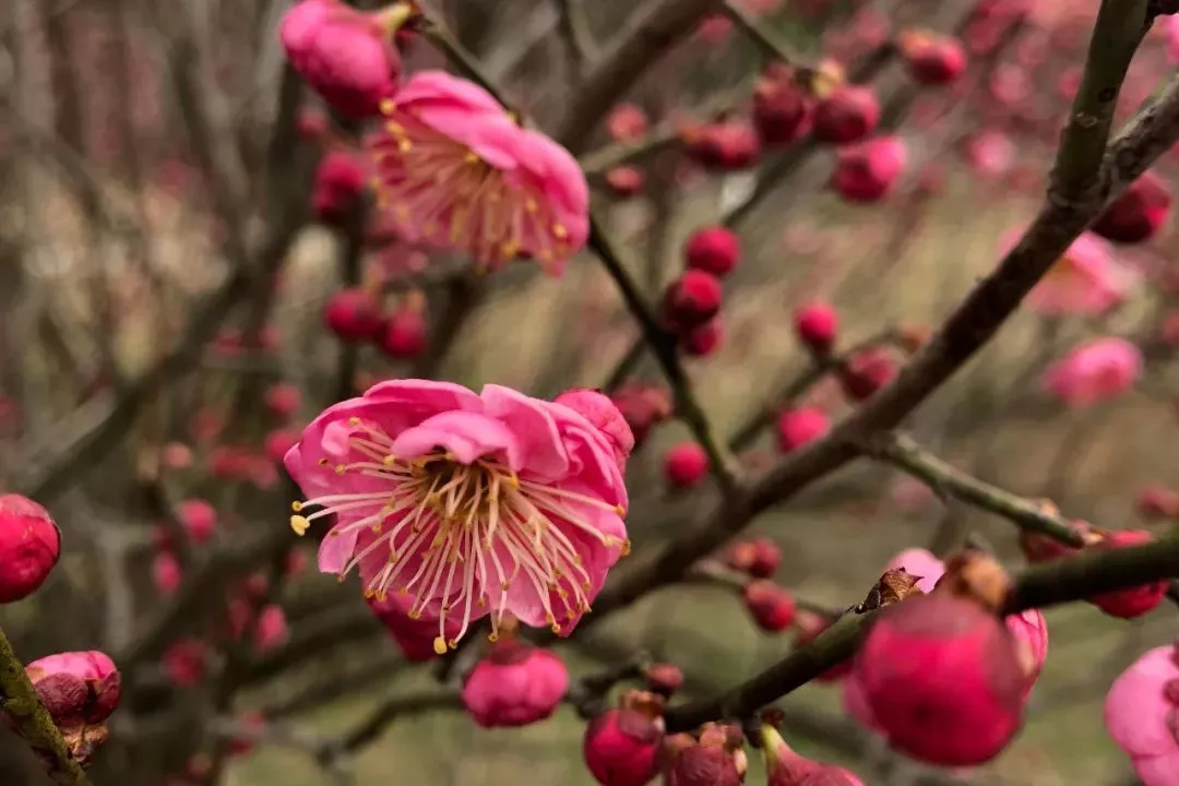 金狮贵宾会·宾至如归-尊贵显赫