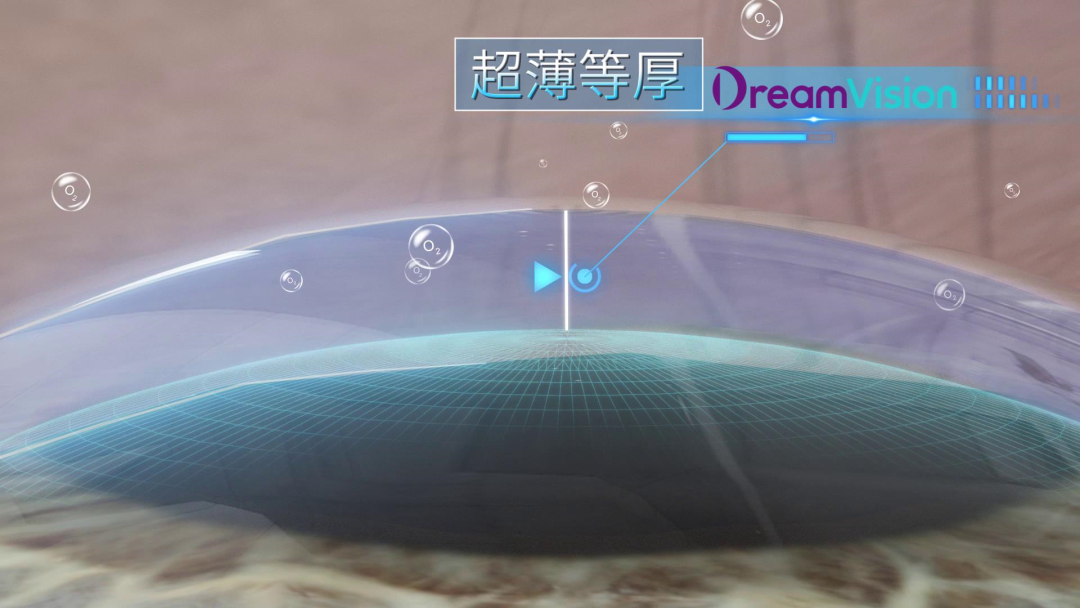 金狮贵宾会·宾至如归-尊贵显赫