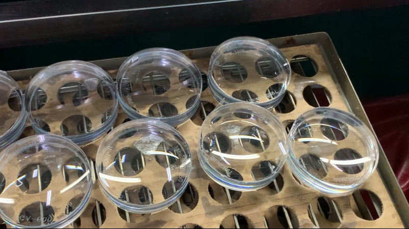 金狮贵宾会·宾至如归-尊贵显赫